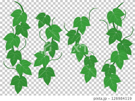 Set of green ivy illustrations 126984119