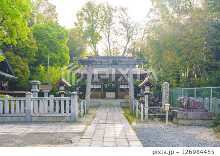 大鳥大社の摂末社　大鳥美波比神社（大阪府堺市西区鳳北町） 126984485