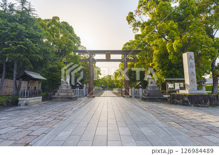 和泉國一之宮　朝日を浴びる大鳥大社　西大鳥居（大阪府堺市西区鳳北町） 126984489