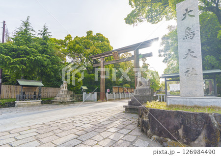 和泉國一之宮 朝日を浴びる大鳥大社 西大鳥居(大阪府堺市西区鳳北町) 和泉國一之宮 朝日を浴びる大鳥大社 西大鳥居(大阪府堺市西区鳳北町) 126984490