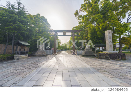 和泉國一之宮 朝日を浴びる大鳥大社 西大鳥居(大阪府堺市西区鳳北町) 和泉國一之宮 朝日を浴びる大鳥大社 西大鳥居(大阪府堺市西区鳳北町) 126984496