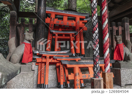 伏見稲荷大社　新池堤　おびただしい大量の社や塚 126984504