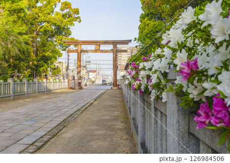 和泉國一之宮 大鳥大社 西大鳥居(大阪府堺市西区鳳北町) 和泉國一之宮 大鳥大社 西大鳥居(大阪府堺市西区鳳北町) 126984506