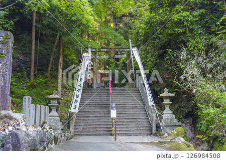 狸谷山不動院 参道入口 鳥居(京都市左京区一乗寺) 狸谷山不動院 参道入口 鳥居(京都市左京区一乗寺) 126984508
