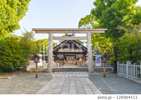 和泉國一之宮 大鳥大社 拝殿(大阪府堺市西区鳳北町) 和泉國一之宮 大鳥大社 拝殿(大阪府堺市西区鳳北町) 126984511