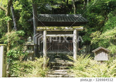 長谷寺 三部権現社 新緑の季節(奈良県桜井市初瀬) 長谷寺 三部権現社 新緑の季節(奈良県桜井市初瀬) 126984512
