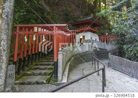 狸谷山不動院　白龍弁財天（京都市左京区一乗寺） 126984518