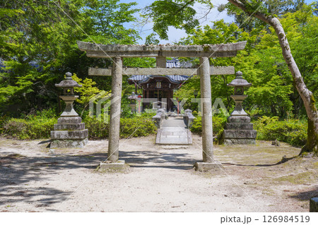 曼殊院天満宮 石鳥居 新緑の季節(京都市左京区一乗寺) 曼殊院天満宮 石鳥居 新緑の季節(京都市左京区一乗寺) 126984519