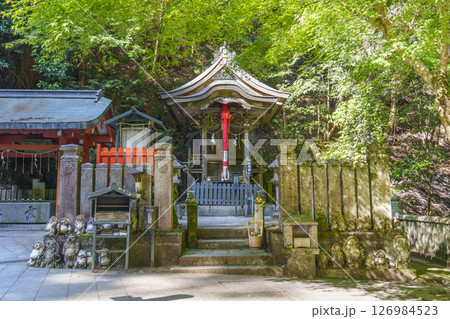 狸谷山不動院　三社明神堂（京都市左京区一乗寺） 126984523