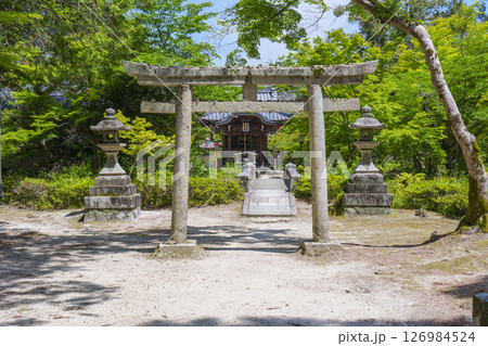 曼殊院天満宮　石鳥居　新緑の季節（京都市左京区一乗寺） 126984524