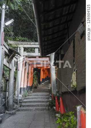 京都　伏見稲荷大社　千本鳥居　三ツ辻から四ツ辻へ 126984525