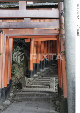 京都　伏見稲荷大社　千本鳥居　三ツ辻から四ツ辻へ 126984526