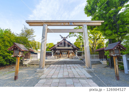 和泉國一之宮　大鳥大社　拝殿（大阪府堺市西区鳳北町） 126984527