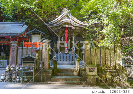 狸谷山不動院　三社明神堂（京都市左京区一乗寺） 126984528