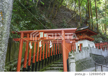 狸谷山不動院 白龍弁財天(京都市左京区一乗寺) 狸谷山不動院 白龍弁財天(京都市左京区一乗寺) 126984529