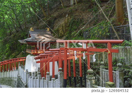 狸谷山不動院　白龍弁財天（京都市左京区一乗寺） 126984532