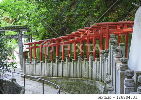 狸谷山不動院 白龍弁財天(京都市左京区一乗寺) 狸谷山不動院 白龍弁財天(京都市左京区一乗寺) 126984533