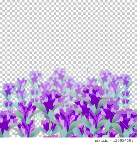 Gentian Gentian 126984595
