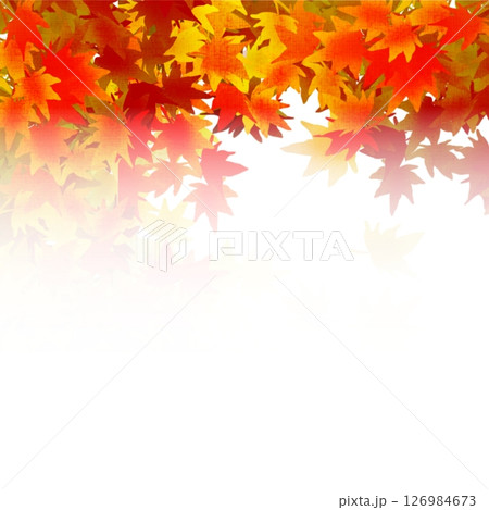 紅葉の壁紙 紅葉の壁紙 126984673