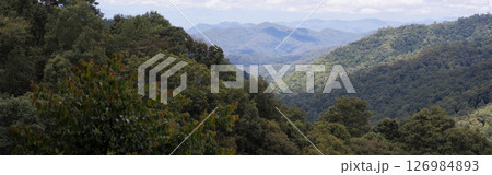 mountain and tropical forest with cloudy sky in raining season mountain and tropical forest with cloudy sky in raining season 126984893
