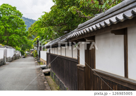 《山口県》萩城城下町の歴史的な町並み 126985005