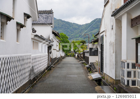 《山口県》萩城城下町の歴史的な町並み 126985011