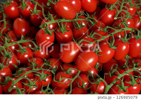 Heap of small cherry red tomatoes with green vine, photo from above Heap of small cherry red tomatoes with green vine, photo from above 126985079