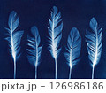 Blue Feather Arrangement. Artistic cyanotype of a delicate feathers 126986186