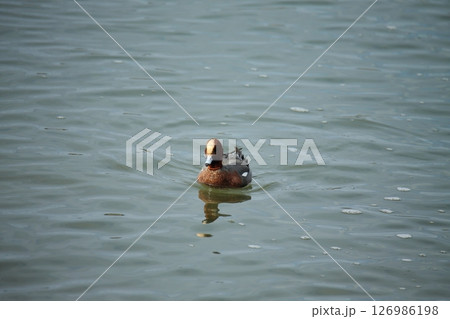 荒尾市　港　風景、　 126986198