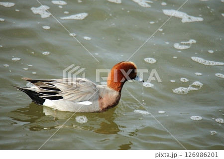 荒尾市　港　風景、　 126986201