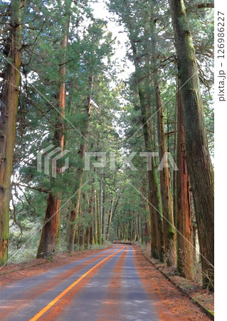 日光杉並木街道 例幣使街道／栃木県日光市 126986227