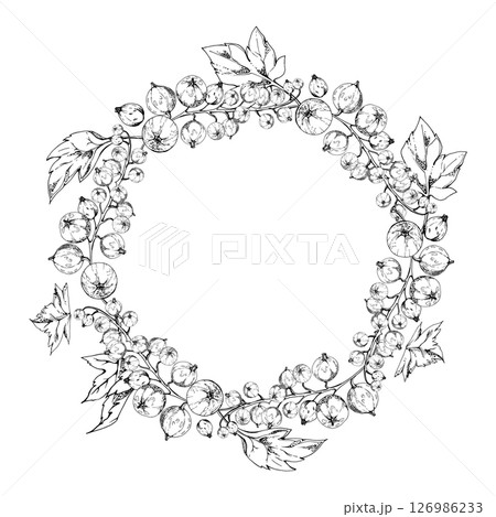 Currant gooseberry cluster bunch on stem with leaves, ripe garden berry casseille juneberry jostaberry, vector ink hand drawn. Isolated wreath frame crown. Home preserves cookbook, grocery food store 126986233