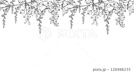 Currant gooseberry with long flower clusters on branch, leaves, ripe garden berry juneberry casseille jostaberry. Hand drawn in vector ink. Isolated seamless banner border. Cafe menu, farmers market Currant gooseberry with long flower clusters on branch, leaves, ripe garden berry juneberry casseille jostaberry. Hand drawn in vector ink. Isolated seamless banner border. Cafe menu, farmers market 126986235