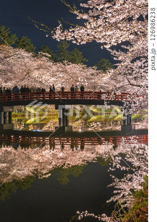 弘前さくら祭り 夜桜 桜まみれの春陽橋07 弘前さくら祭り 夜桜 桜まみれの春陽橋07 126986238