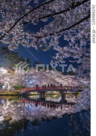 弘前さくら祭り 夜桜　桜まみれの春陽橋05 126986242