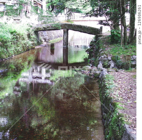 弁天池から流れ出る青景川 弁天池から流れ出る青景川 126986261