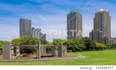 幕張海浜公園とマンション群 幕張海浜公園とマンション群 126986367