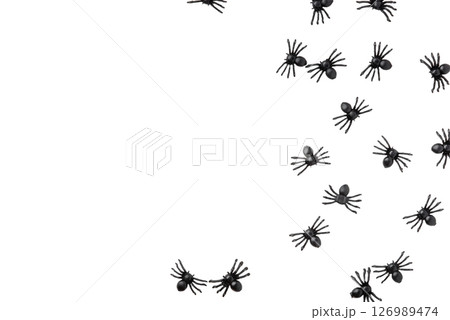 Black spiders isolated on a white background. Black spiders isolated on a white background. 126989474