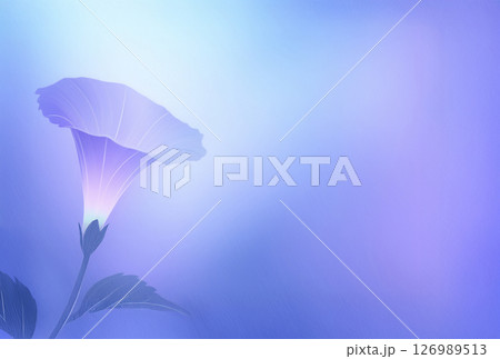 やわらかな印象のアサガオと青と水色と紫のグラデーション 126989513