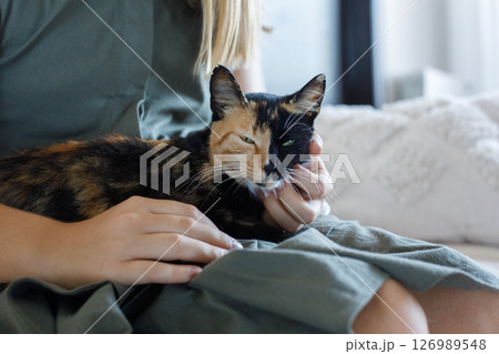 Happy cat portrait close-up with owner indoor 126989548