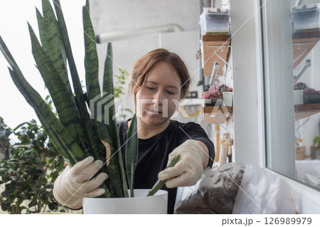 Closeup portrait of mid adult woman holding green houseplant in her hand standing indoor. 126989979