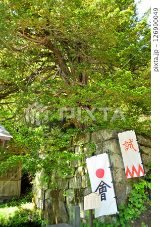 福島県猪苗代町字見禰山の會津守護神 土津(はにつ)神社 福島県猪苗代町字見禰山の會津守護神 土津(はにつ)神社 126990049