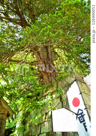 福島県猪苗代町字見禰山の會津守護神 土津(はにつ)神社 福島県猪苗代町字見禰山の會津守護神 土津(はにつ)神社 126990051