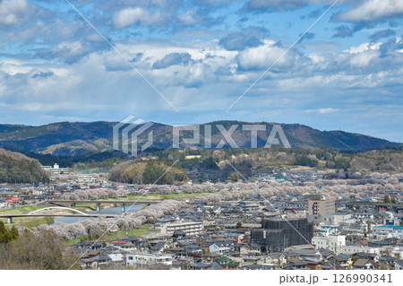 白石川堤一目千本桜 126990341