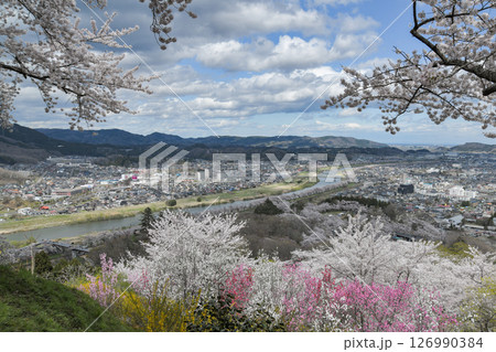 船岡城址公園の桜 126990384