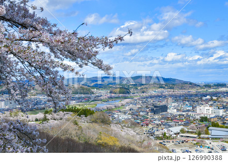 船岡城址公園の桜 126990388