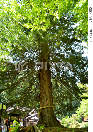 福島県猪苗代町字見禰山の會津守護神　土津(はにつ)神社 126990880