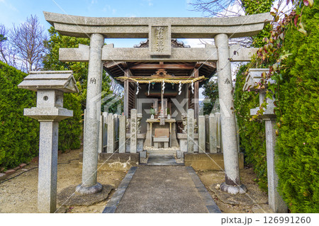 通夜島有姫龍神(大阪府八尾市神立) 通夜島有姫龍神(大阪府八尾市神立) 126991260
