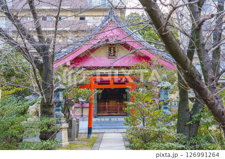 土佐稲荷神社　石宮神社　正月（大阪府大阪市西区北堀江） 126991264