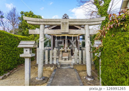 通夜島有姫龍神(大阪府八尾市神立) 通夜島有姫龍神(大阪府八尾市神立) 126991265
